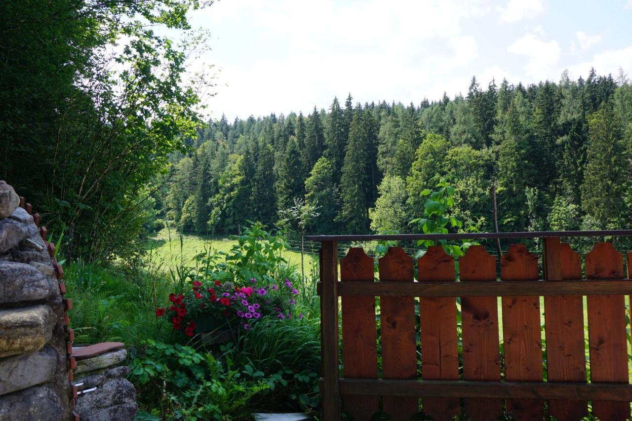 Chalet Katrin Sankt Koloman Kültér fotó